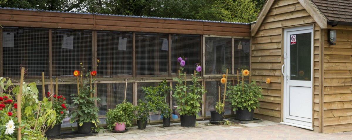 Winterpick Boarding Cattery