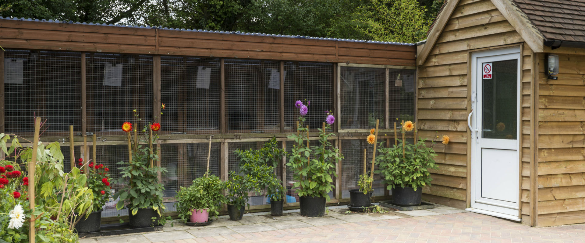 Winterpick Boarding Cattery